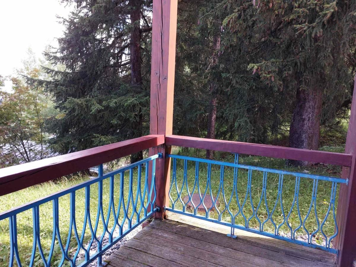Eine Holzterrasse mit einem blauen Metallgeländer, umgeben von Bäumen.