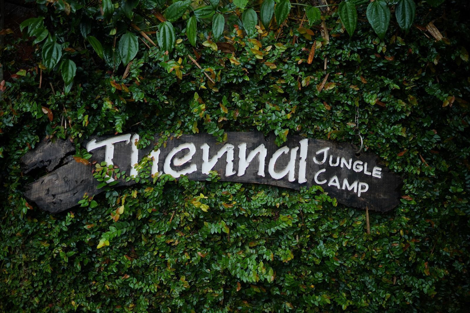 Een houten bord met de tekst 'Jungle Camp', deels verborgen door begroeiing.