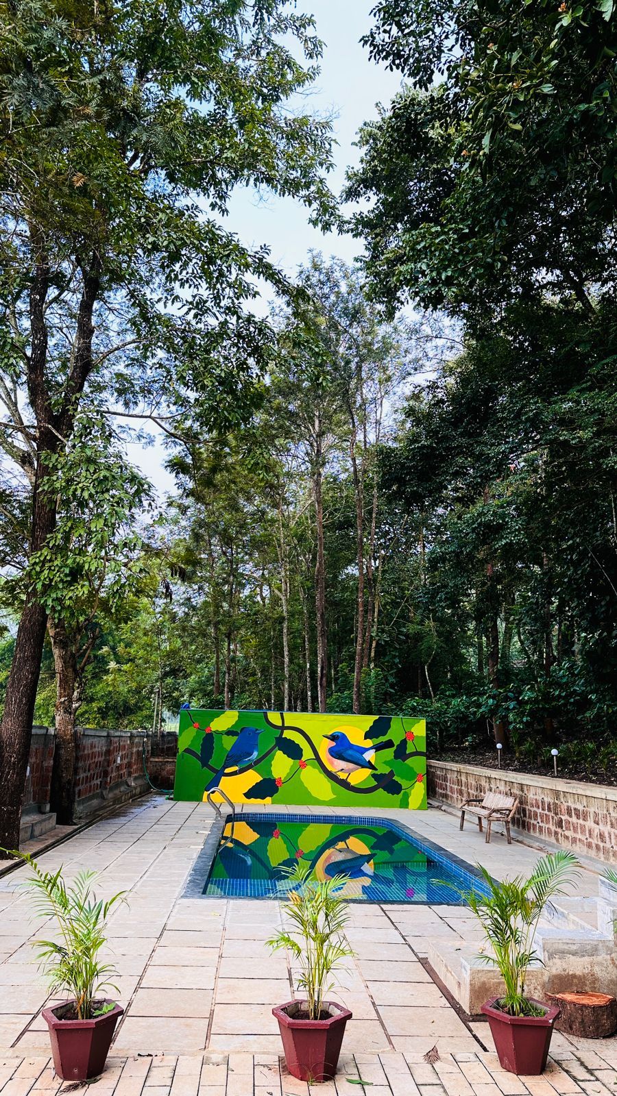 A pool area with a mural of birds on a tree branch, surrounded by potted plants and trees.