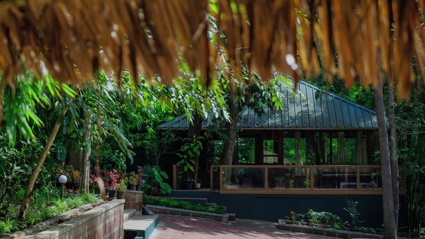 Un espacio al aire libre techado con estructura de madera, rodeado de exuberante vegetación y un sendero de piedra.
