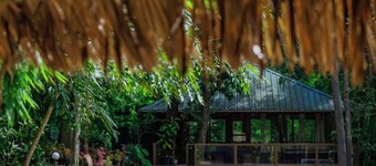 Thennal Jungle Camp Pvt Ltd