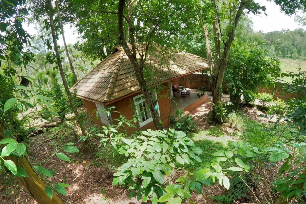 Une maison rustique avec un toit de chaume, entourée d’une végétation luxuriante et d’arbres.