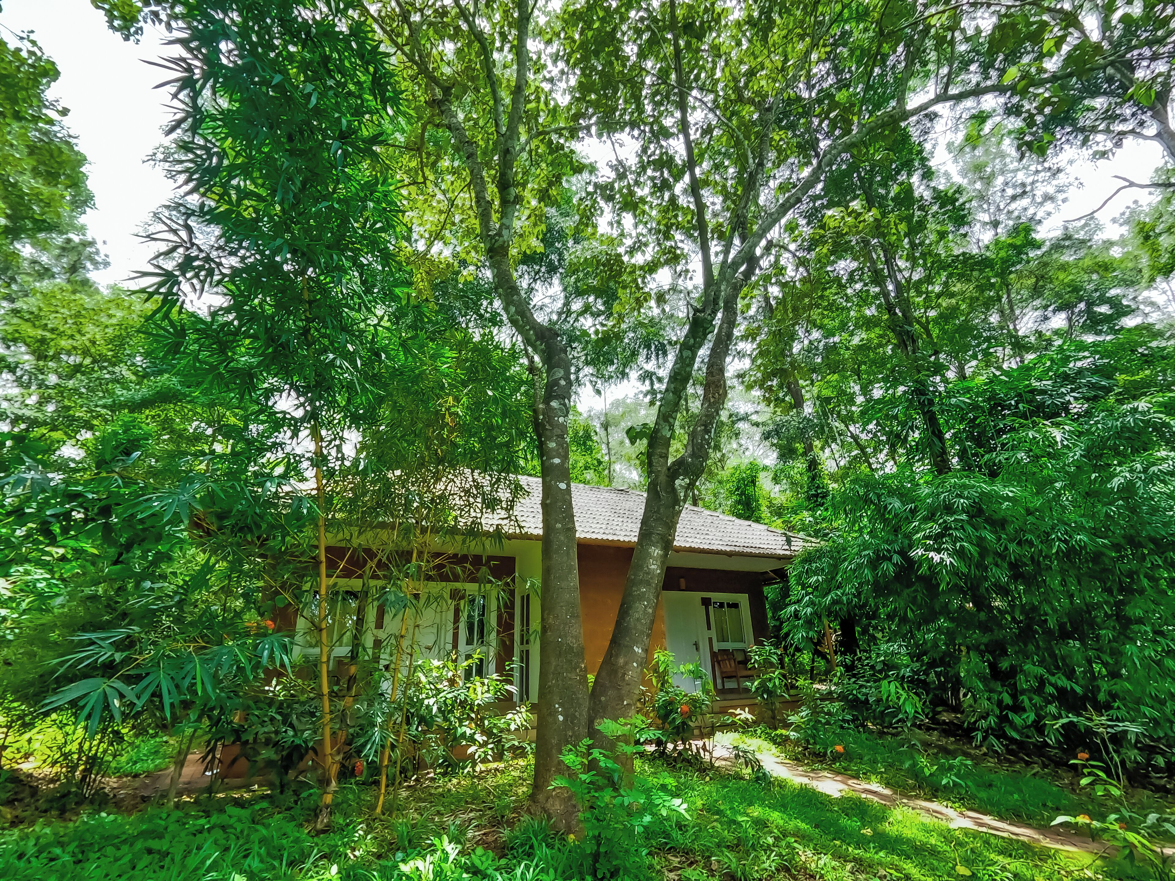 Ein Haus, umgeben von üppiger Vegetation, mit einem Weg zum Eingang.