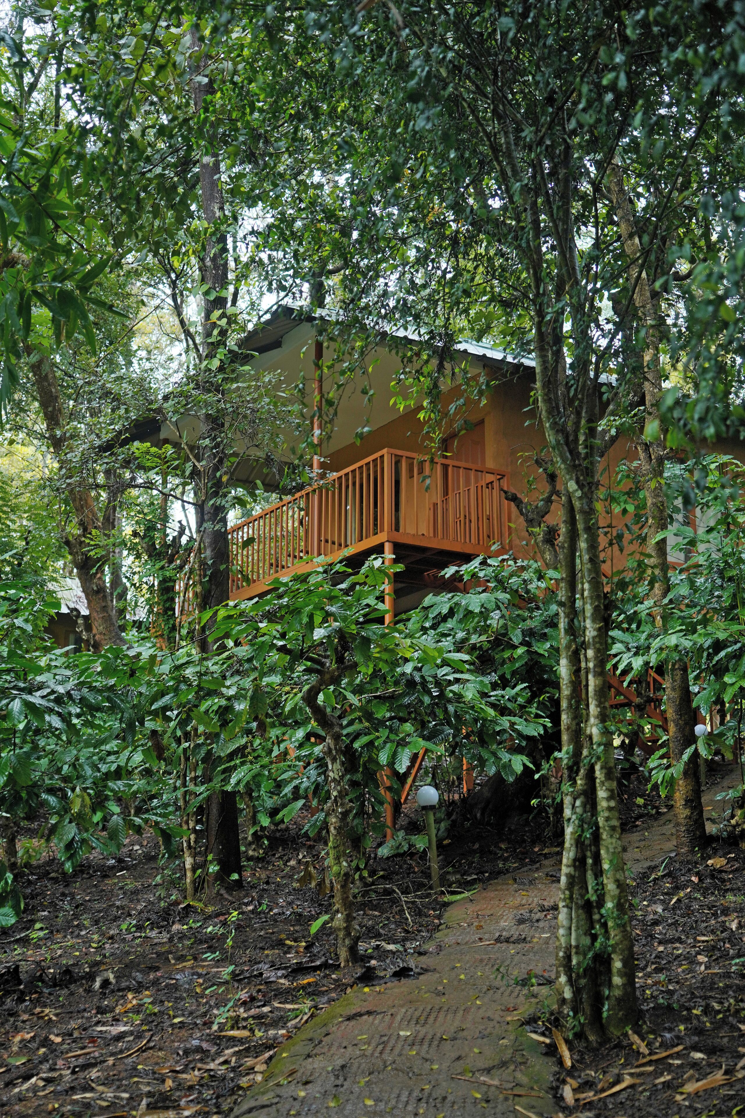Una cabaña de madera rodeada de un bosque frondoso, con un sendero de tierra que lleva a ella.