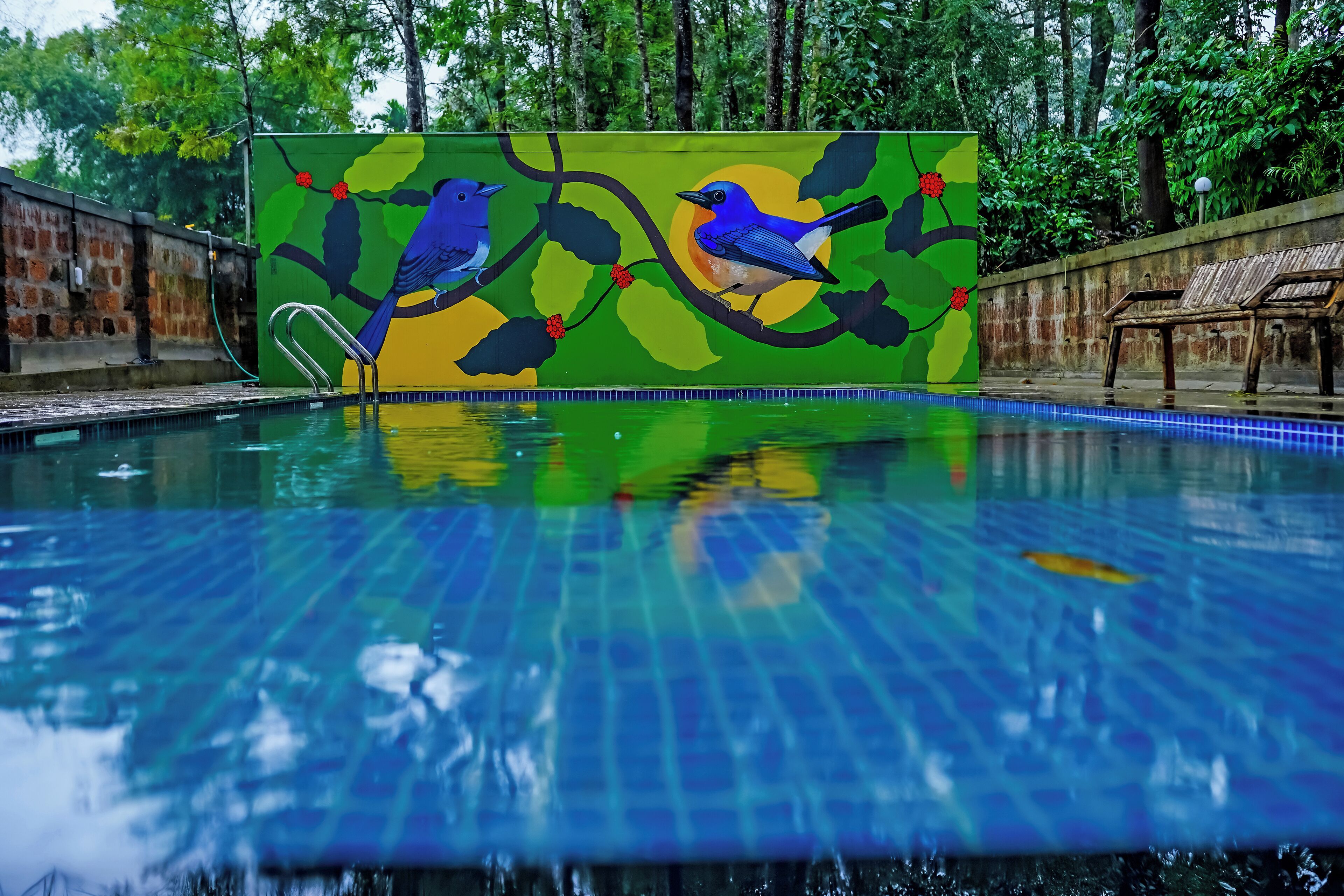 Ein Swimmingpool mit Wandgemälde von Vögeln auf einem Ast, umgeben von Bäumen und einer Backsteinmauer.