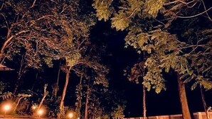 Una piscina nocturna rodeada de árboles y un muro de ladrillo.