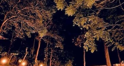 Thennal Jungle Camp Pvt Ltd