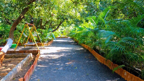 A pathway lined with trees and a swing set. - Gir Forever  (Talala)