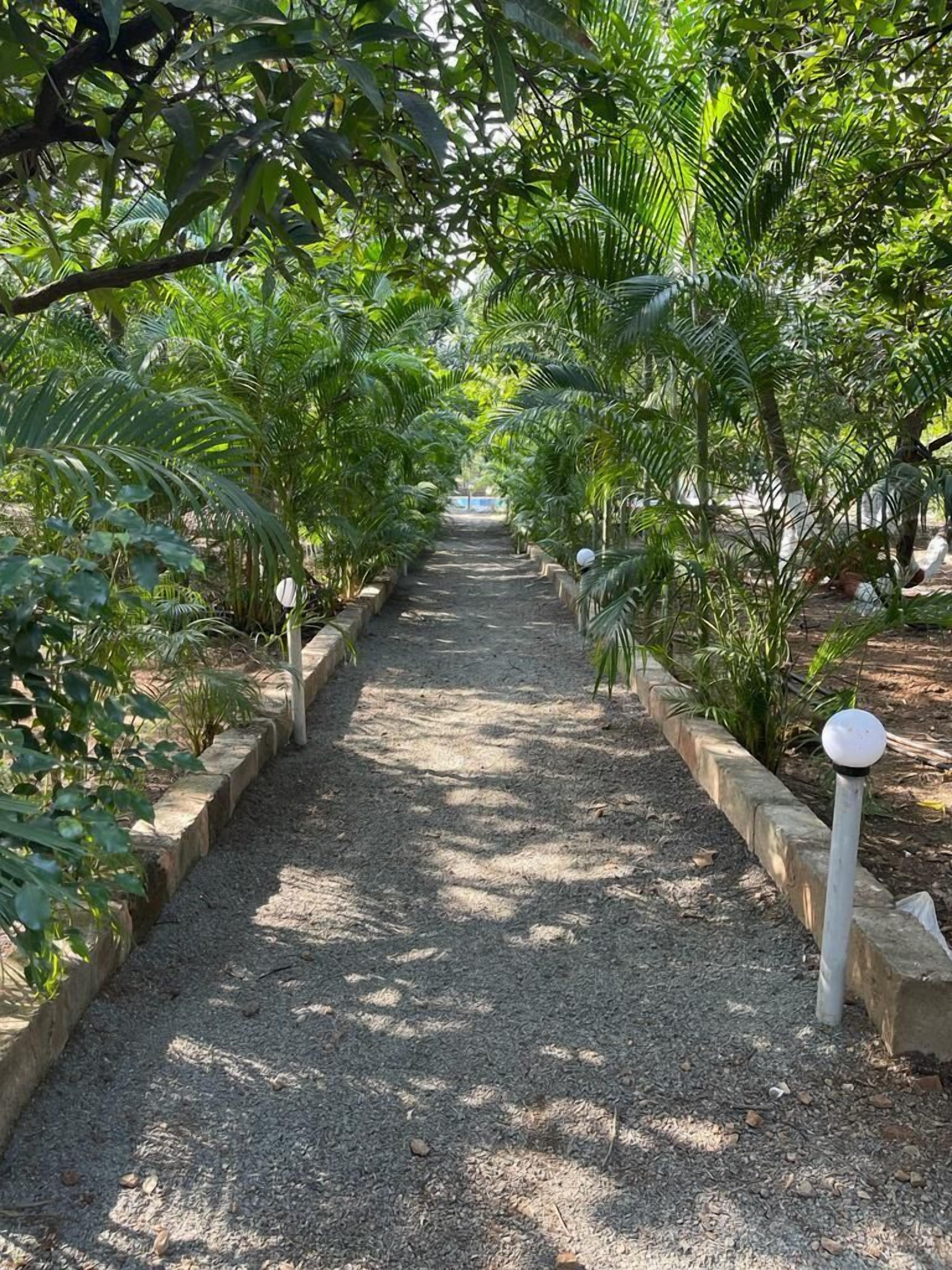 A pathway flanked by lush greenery and stone borders, leading through a garden or park area.