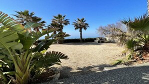 A gravel courtyard with palm trees and a stone bench.