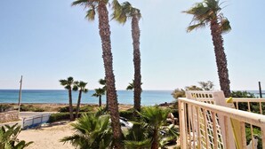 A beach view with tall palm trees, a clear sky, and a calm sea.