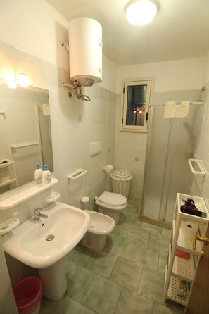 Shower, hair dryer, bidet, towels
