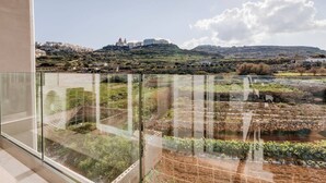 A balcony with a view of a vineyard and distant buildings.