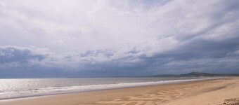 Happy Days Afan Forest