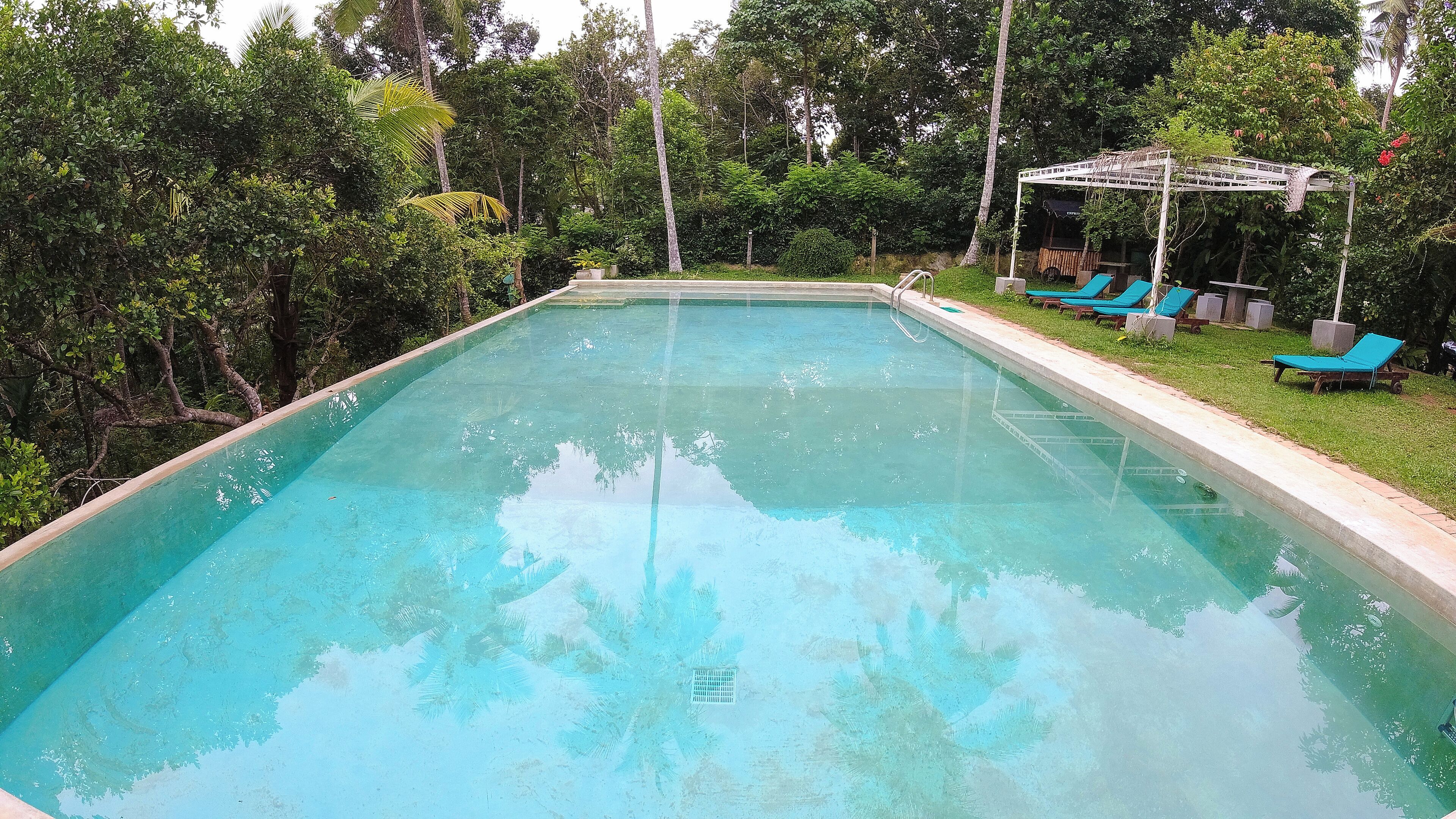 A rectangular swimming pool with clear water, surrounded by lush greenery and trees.