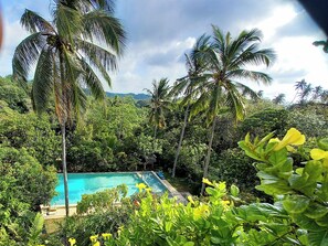 Ein Pool, umgeben von üppiger Vegetation und Palmen.