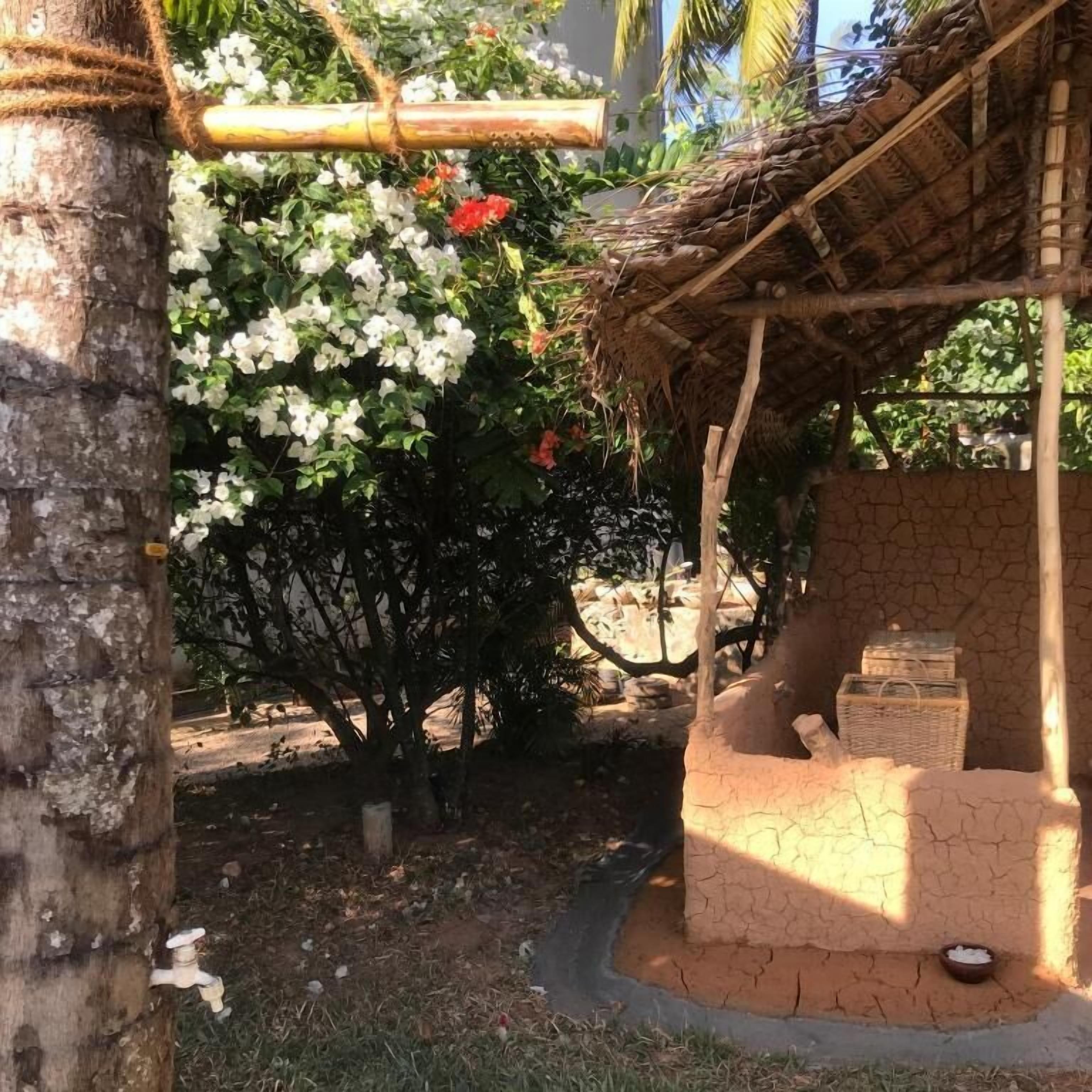 Un espacio exterior rústico con una estructura de techo de paja, un árbol con flores blancas y un pequeño jardín.