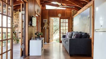 TV connectée, cheminée