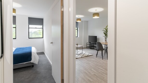 A modern bedroom with a bed, a desk with a chair, a TV, and a plant.
