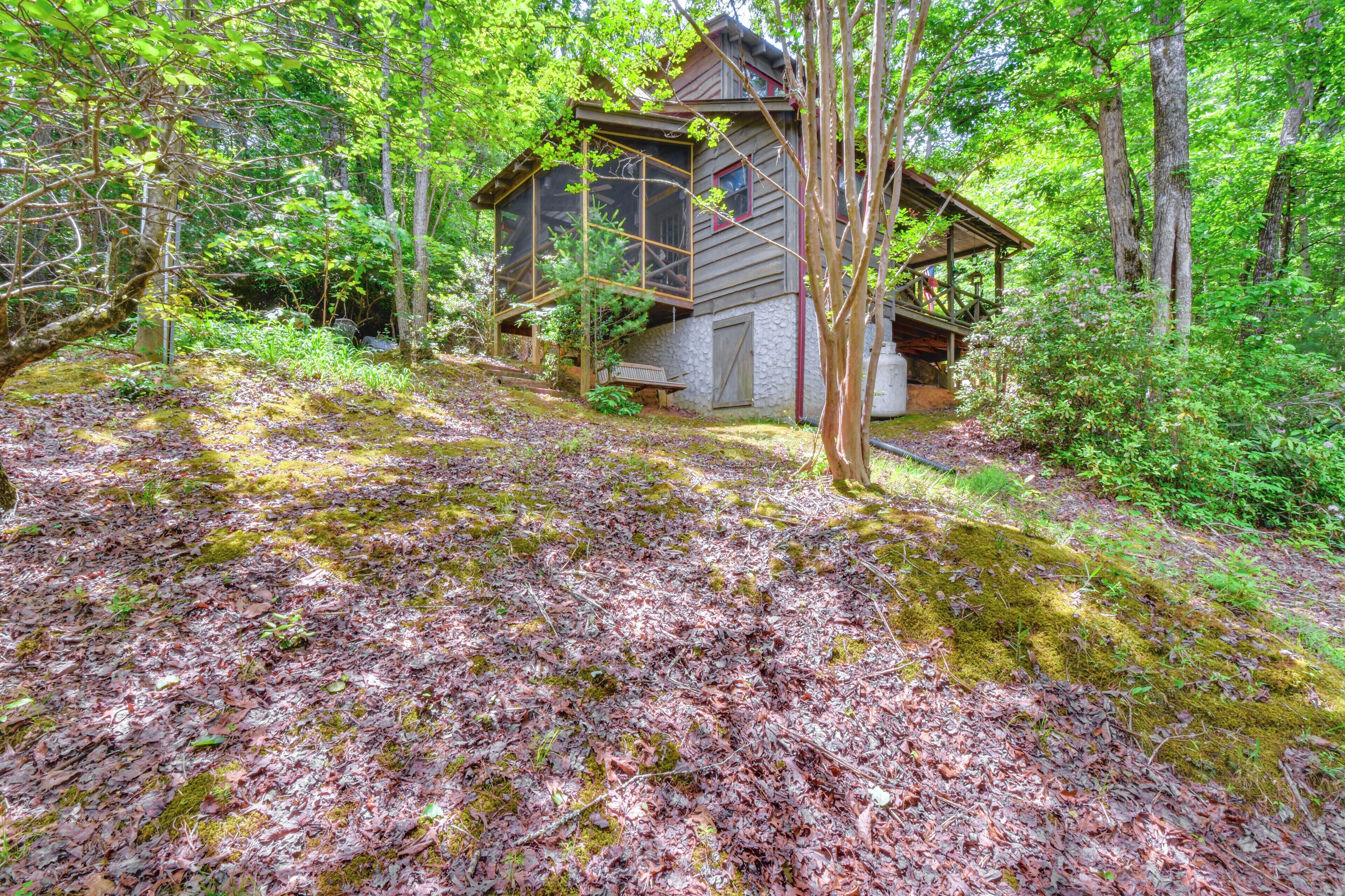 A rustic cabin surrounded by dense forest, with a moss-covered ground and wooden exterior.