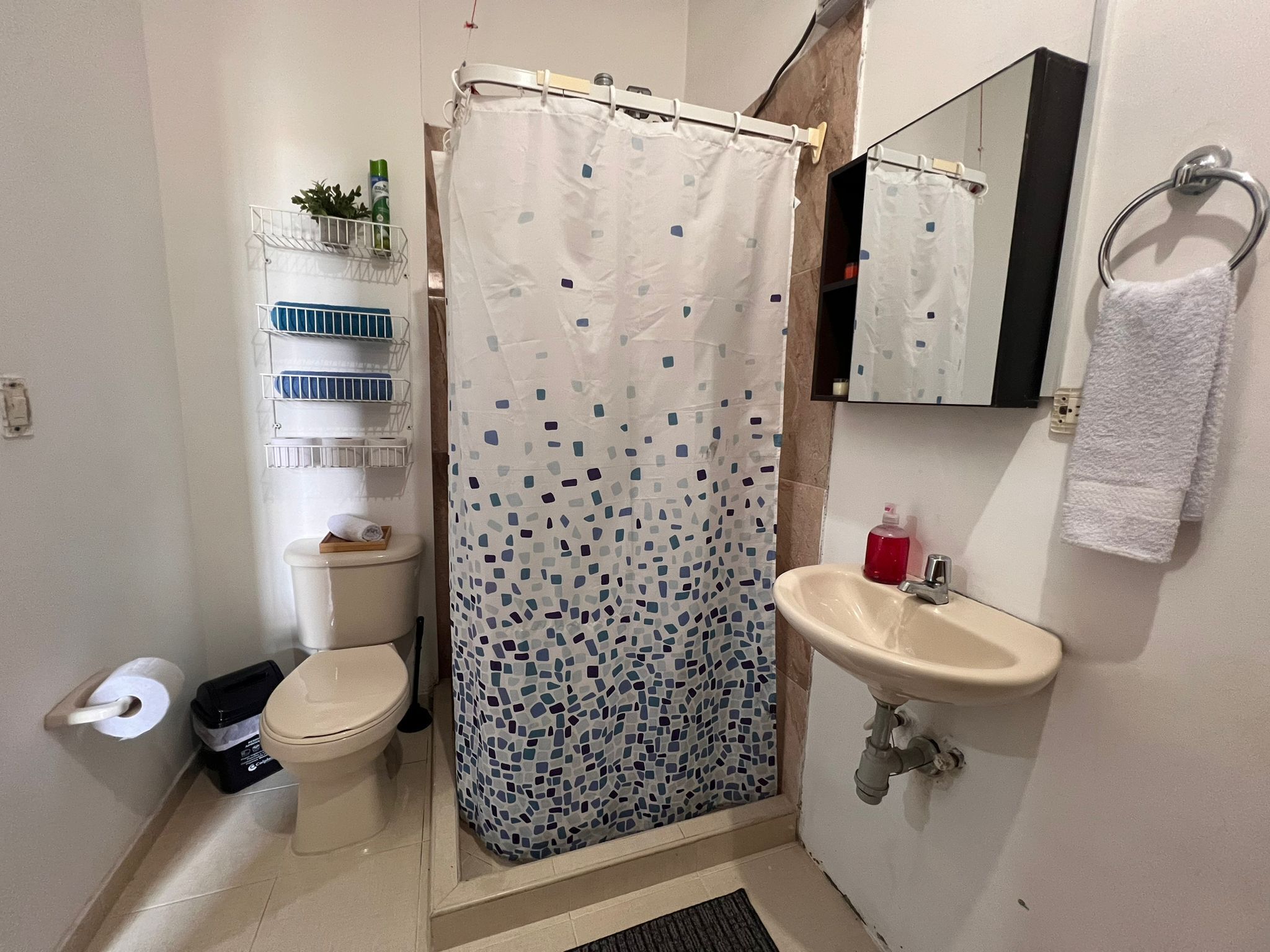 Shower, towels, soap, toilet paper