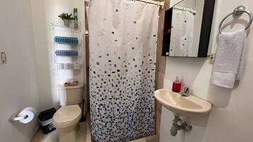Shower, towels, soap, toilet paper