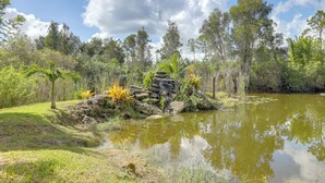 A natural landscape with a pond, rocks, and various plants.