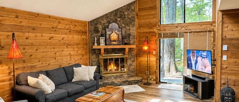 Smart TV, fireplace, books