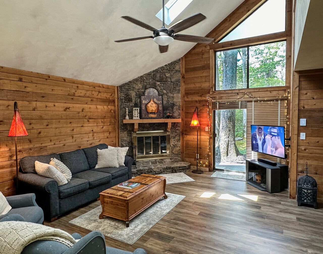 Smart TV, fireplace, books