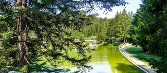 Forest Princess Chalet
