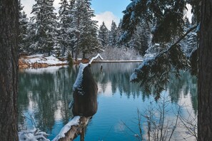 Miscellaneous - Forest Princess Chalet (Bloke)