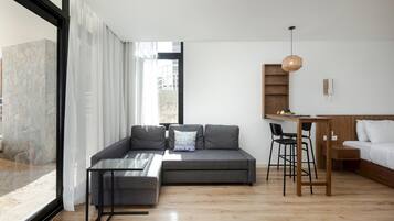 Apartment | 1 bedroom