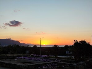 Property grounds - Tarmaros - Families & Groups - 3 - Malia Outskirts (Sisi)