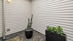 A corner of a building with white siding, a black planter with a cactus, and a black planter with green foliage.