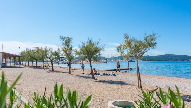 A beach with a pebble surface, trees, and a clear blue sky.
