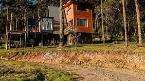 Une maison moderne à l’extérieur en bois, entourée de grands pins.