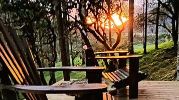 Ferienhütte | Terrasse/Patio