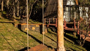 Une cabane rustique avec un toit en métal, entourée de grands arbres et d’une zone herbeuse.