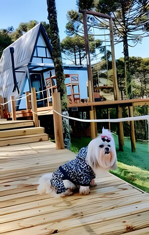 เคบิน | ระเบียง