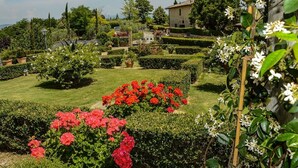 Ein gepflegter Garten mit geschnittenen Hecken, blühenden Pflanzen und einem traditionellen Gebäude im Hintergrund.