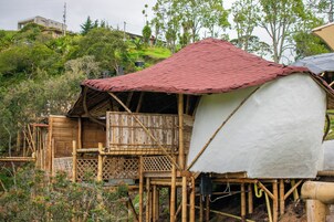 1 bedroom, premium bedding, down comforters, minibar