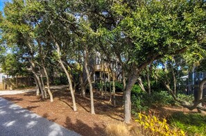 Jardines del alojamiento