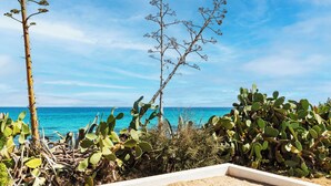 A coastal landscape with a clear sky, a cactus garden, and a view of the sea. - Amasea Resort (San Teodoro)