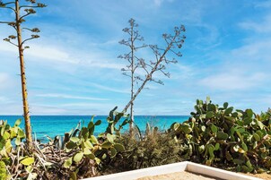 Vista desde la propiedad