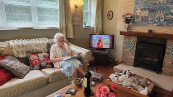 TV, fireplace, DVD player, books