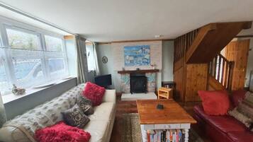 TV, fireplace, DVD player, books