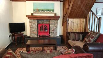 TV, fireplace, DVD player, books