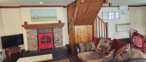 电视、壁炉、书