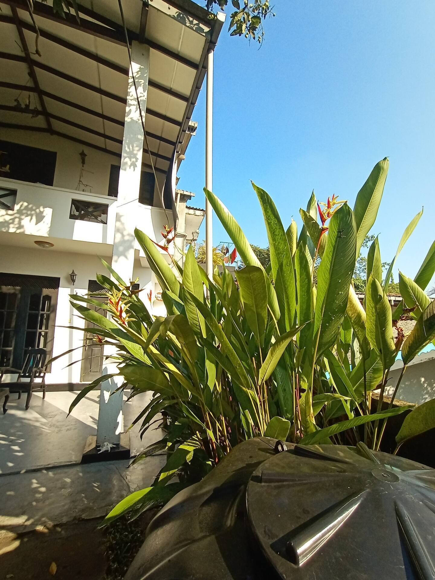 Un bâtiment à la façade blanche, doté de grandes fenêtres et d’un espace extérieur couvert agrémenté de plantes en pot.