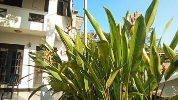 Un bâtiment à la façade blanche, doté de grandes fenêtres et d’un espace extérieur couvert agrémenté de plantes en pot.